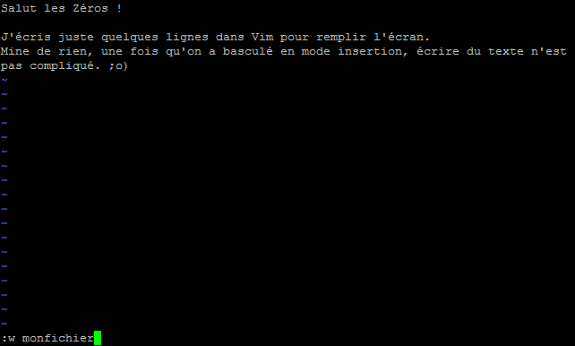 Enregistrement dans Vim