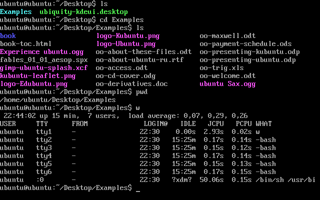 Le mode console. Oui oui, il s’agit bien d'un Linux du XXIe siècle !