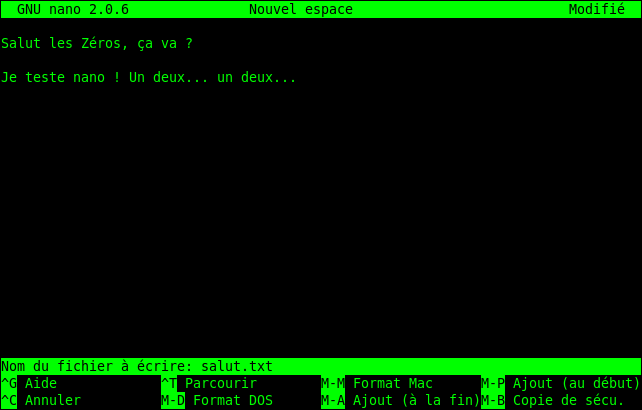 Enregistrement dans Nano